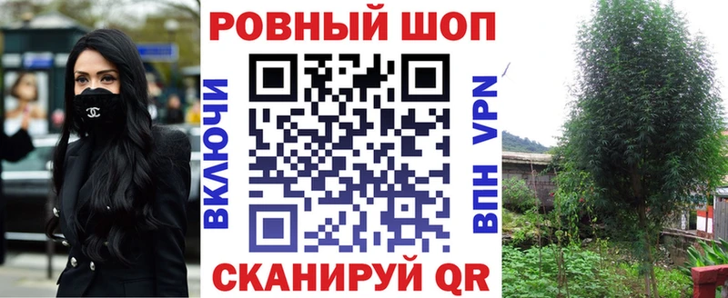 Где купить наркоту Гусев Амфетамин  Меф  Гашиш  COCAIN 