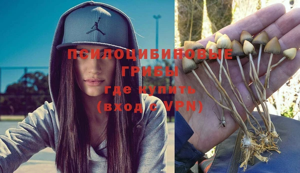 бутират Верхний Тагил