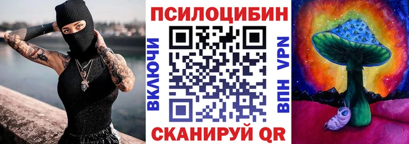 Галлюциногенные грибы GOLDEN TEACHER  блэк спрут маркетплейс  Гусев  магазин  наркотиков 