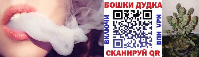 Бошки марихуана White Widow hydra ТОР Гусев где купить